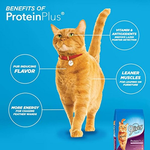 9 Lives Protein Plus Dry Cat Food, 12 Lb