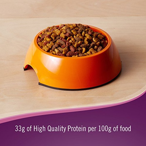 9 Lives Protein Plus Dry Cat Food, 3.15 Lb
