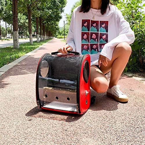 Abnana Pet Carrier Backpack for Dog&cat Pet Parrot Bird Carrier T...