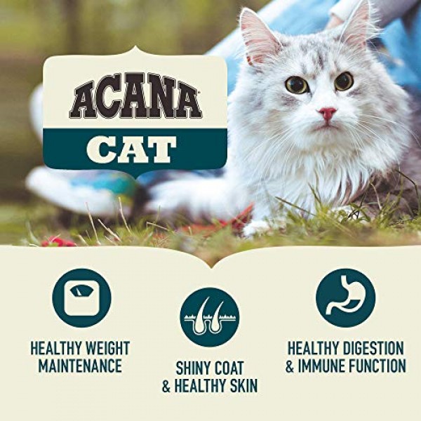 Acana Dry Cat Food for Indoor Cats, Indoor Entrée, Chicken, Turke...