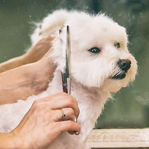 Dog Grooming Scissors 6PCS, Stainless Steel with Safety Round Tip...