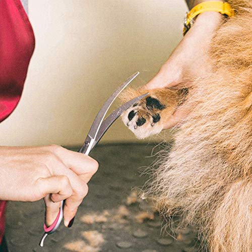 Dog Grooming Scissors 6PCS, Stainless Steel with Safety Round Tip...