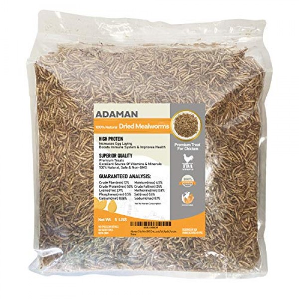 Adaman Dried Mealworms -5 LBS- 100% Natural Non GMO High Protein ...