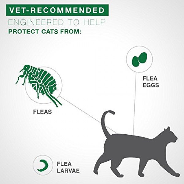 Advantage II 2-Dose Flea Prevention and Treatment for Large Cats,...