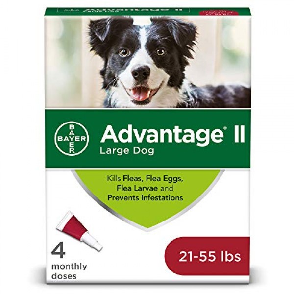 Advantage II 4-Dose Large Dog Flea Treatment, Flea Treatment for ...