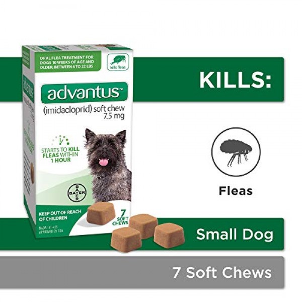 Advantus Imidacloprid 7-Count Flea Chews for Small Dogs 4-22 Po...