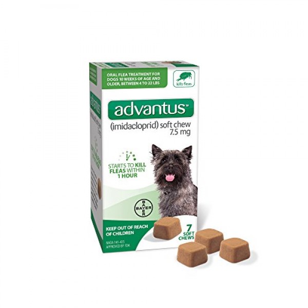 Advantus Imidacloprid 7-Count Flea Chews for Small Dogs 4-22 Po...