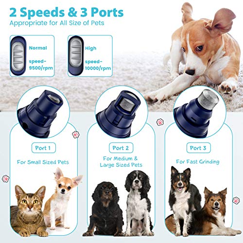 Aerb Dog Nail Grinder Clipper, Professional 2-Speed Rechargeable ...