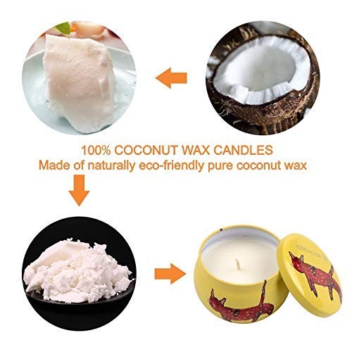 Natural Coconut Wax Scented Candles 4 OZ Portable Travel Tin Cand...