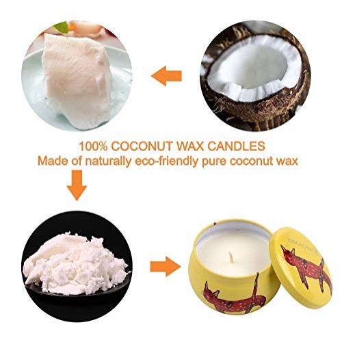 Natural Coconut Wax Scented Candles 4 OZ Portable Travel Tin Cand...