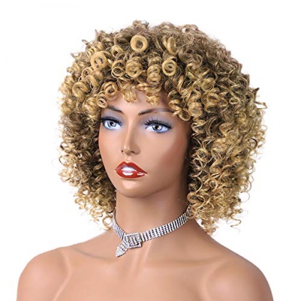 AISI BEAUTY Afro Wigs for Black Women Synthetic Afro Kinky Curly ...