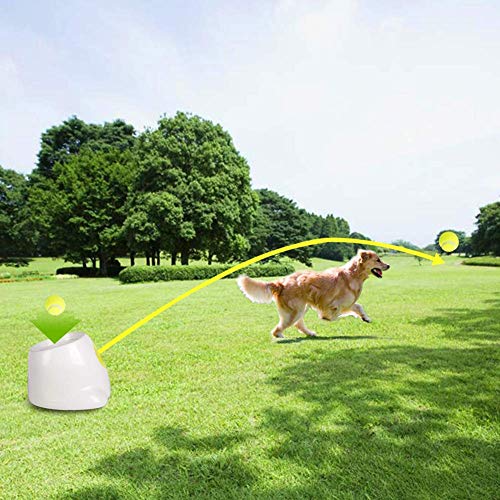 DABMR LDTXH Automatic Ball Launcher Dog Toy Interactive Dog Tenni...