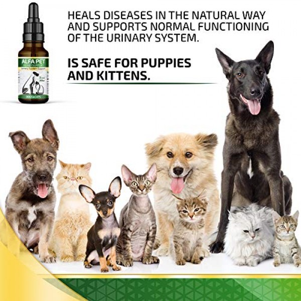 Alfa Pet Natural Kidney Support for Dog UTI & Cat UTI - Canine Ur...