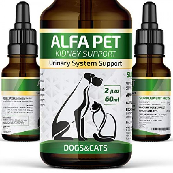 Alfa Pet Natural Kidney Support for Dog UTI & Cat UTI - Canine Ur...