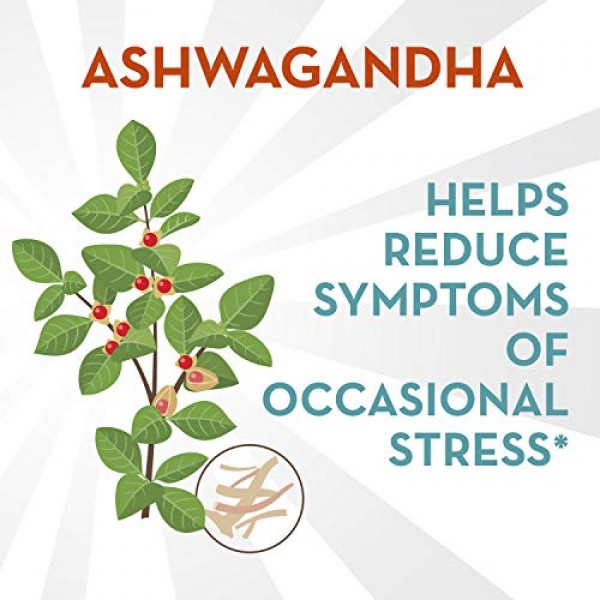 Align Probiotic, Digestive De-stress, Probiotic with Ashwagandha,...