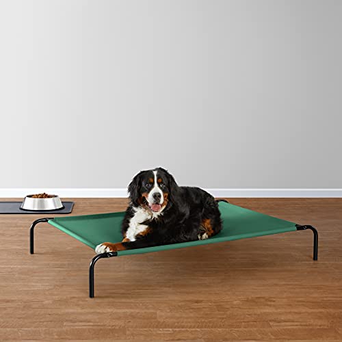 Amazon Basics Cooling Elevated Pet Bed, Extra Large 60 x 37 x 9 ...