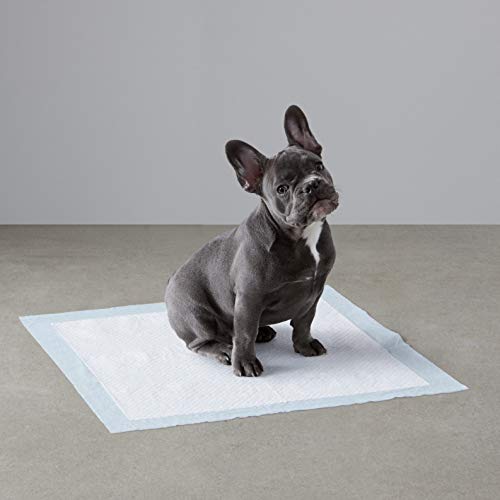 Amazon Basics Dog and Puppy Pads, Leak-proof 5-Layer Pee Pads wit...