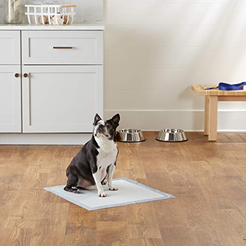 Amazon Basics Dog and Puppy Pads, Leak-proof 5-Layer Pee Pads wit...