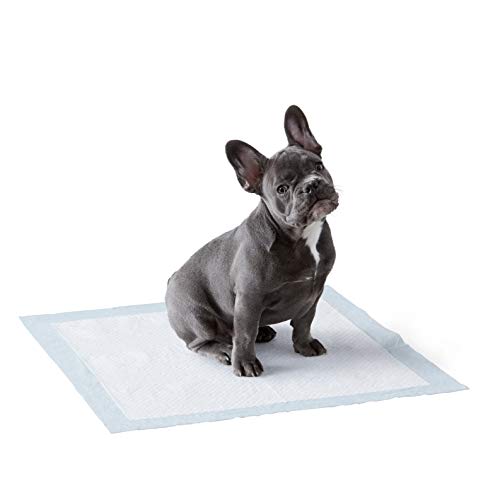 Amazon Basics Dog and Puppy Pads, Leak-proof 5-Layer Pee Pads wit...