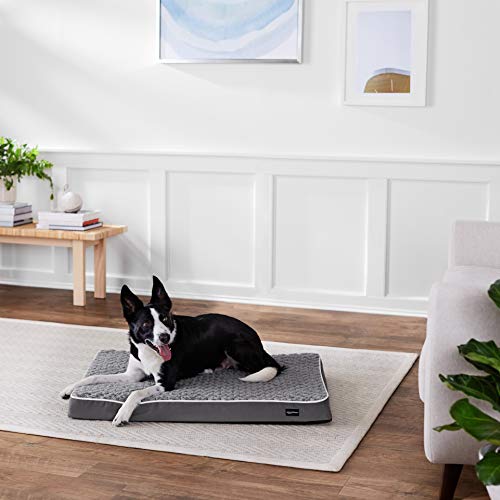 Amazon Basics Ergonomic Foam Pet Dog Bed, 27 x 36 Inches, Grey
