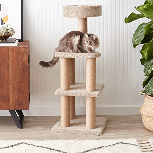 Amazon Basics Large Cat Condo Tree Tower with Scratching Post - 1...