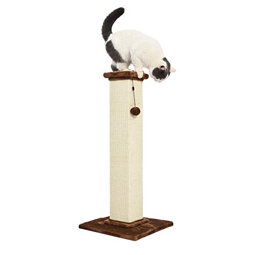 Amazon Basics Large Premium Tall Cat Scratching Post - 16 x 35 x ...