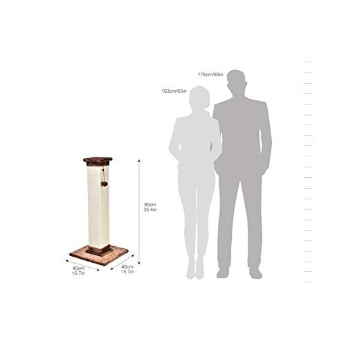 Amazon Basics Large Premium Tall Cat Scratching Post - 16 x 35 x ...