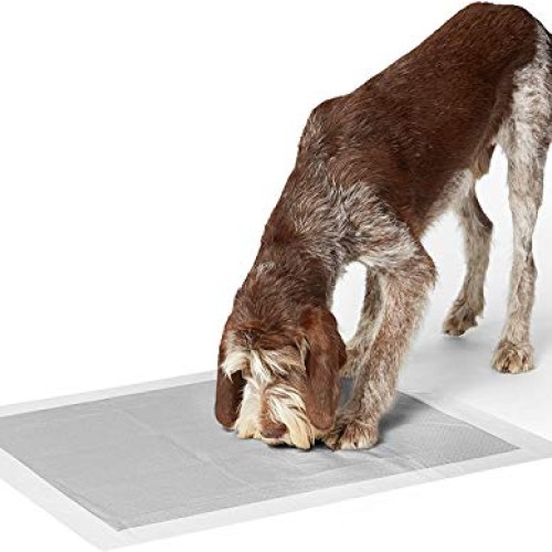 Amazon Basics Odor-Control Carbon Dog and Puppy Training Pads, Le...