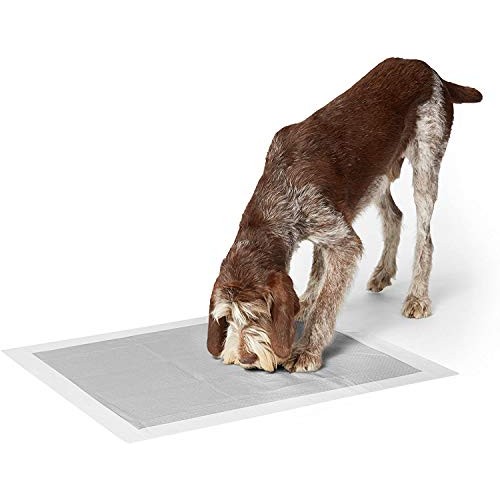 Amazon Basics Odor-Control Carbon Dog and Puppy Training Pads, Le...