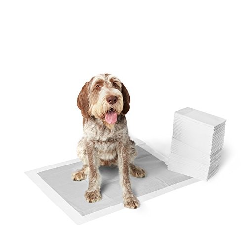 Amazon Basics Odor-Control Carbon Dog and Puppy Training Pads, Le...