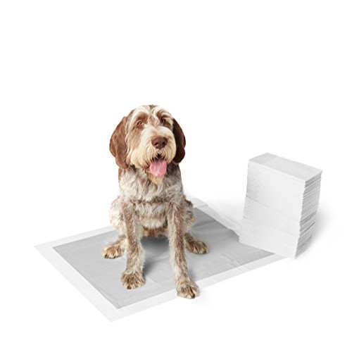 Amazon Basics Odor-Control Carbon Dog and Puppy Training Pads, Le...