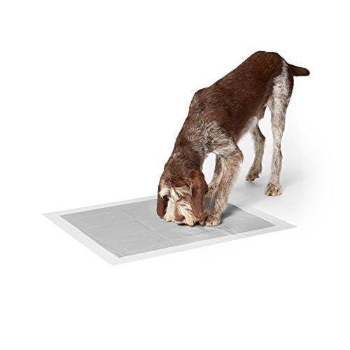 Amazon Basics Odor-Control Carbon Dog and Puppy Training Pads, Le...
