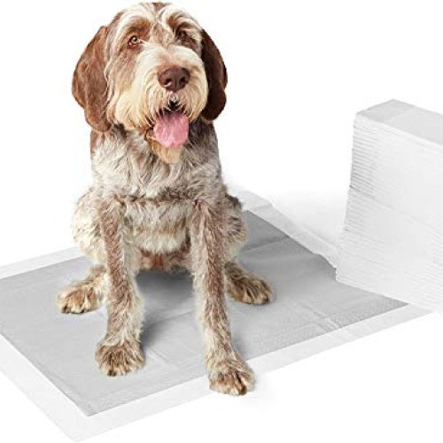 Amazon Basics Odor-Control Carbon Dog and Puppy Training Pads, Le...
