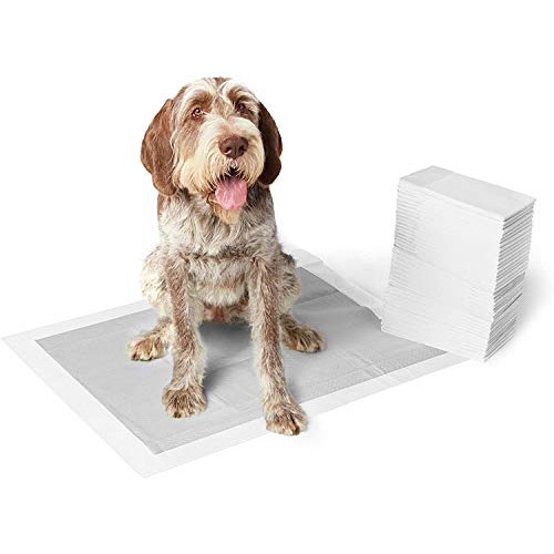 Amazon Basics Odor-Control Carbon Dog and Puppy Training Pads, Le...