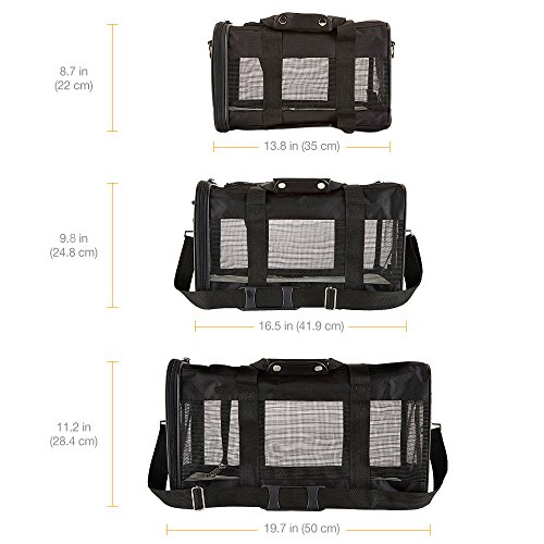 Amazon Basics Soft-Sided Mesh Pet Travel Carrier, Medium 17 x 10...