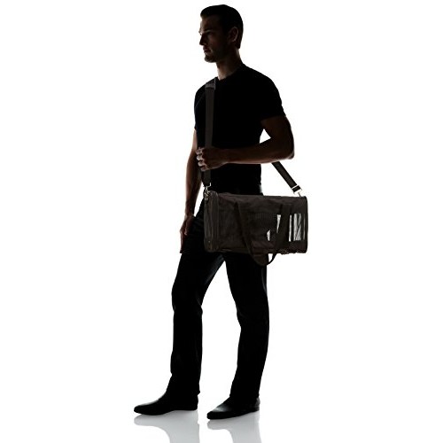 Amazon Basics Soft-Sided Mesh Pet Travel Carrier, Medium 17 x 10...