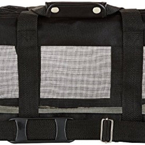 Amazon Basics Soft-Sided Mesh Pet Travel Carrier, Medium 17 x 10...