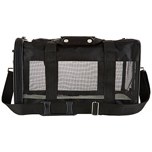 Amazon Basics Soft-Sided Mesh Pet Travel Carrier, Medium 17 x 10...
