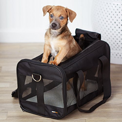 Amazon Basics Soft-Sided Mesh Pet Travel Carrier, Medium 17 x 10...