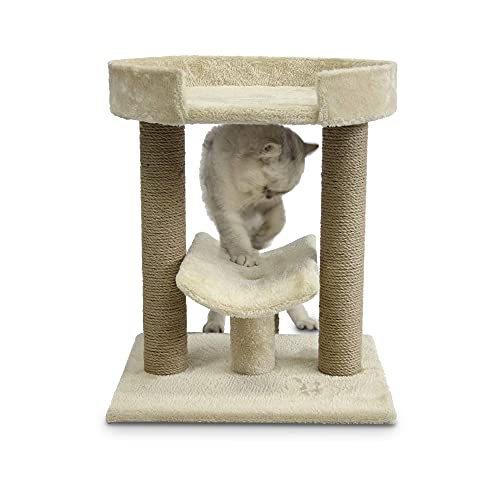 Amazon Basics Top Platform Cat Tree With Scratching Post - 18 x 1...