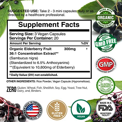 Elderberry European Organic 10,800mg 2 Pack - Immune Support Im...