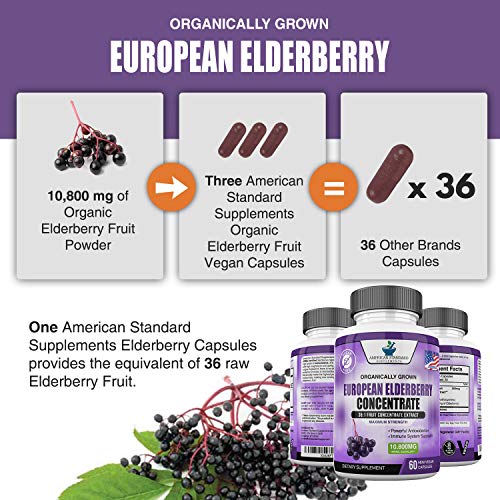 Elderberry European Organic 10,800mg 2 Pack - Immune Support Im...