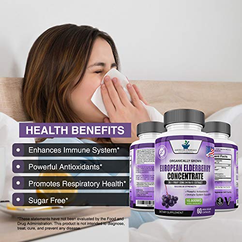 Elderberry European Organic 10,800mg 2 Pack - Immune Support Im...
