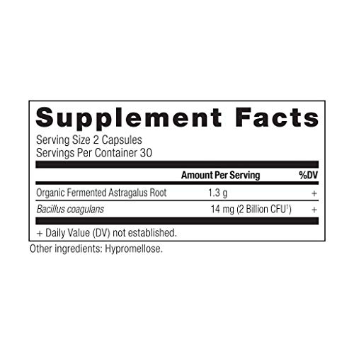 Probiotics and Astragalus Supplement Capsules by Ancient Nutritio...