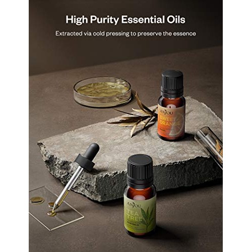Anjou Essential Oils Set 6-Pack Gift Set Therapeutic Grade 10ml 1...