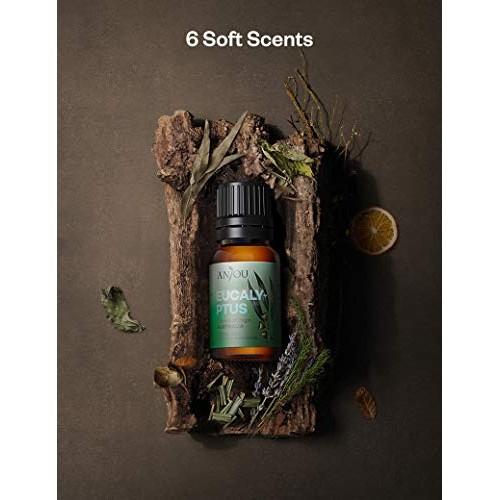 Anjou Essential Oils Set 6-Pack Gift Set Therapeutic Grade 10ml 1...
