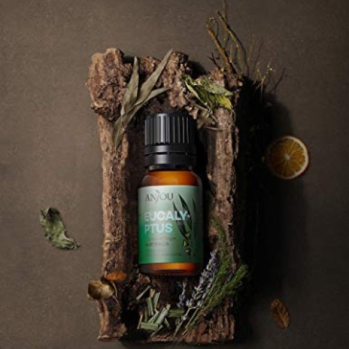 Anjou Essential Oils Set 6-Pack Gift Set Therapeutic Grade 10ml 1...
