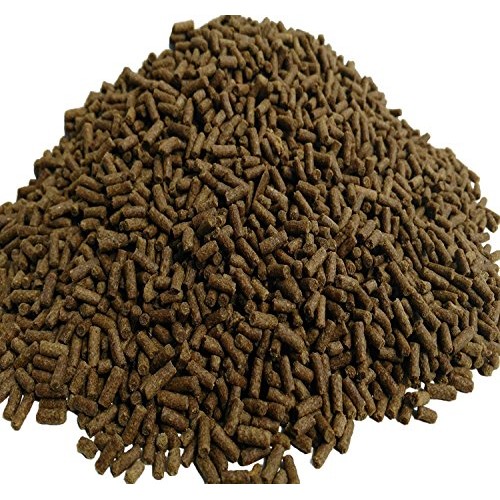 Aquatic Foods Inc. Pellets, Zeigler Grower Pellets for Shrimp, Ax...