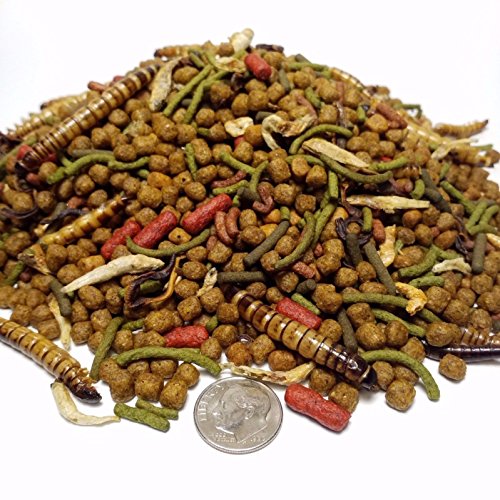 Gourmet Blend - Aquatic Turtle Blend with Assorted Pellets & Gian...