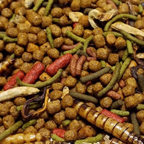 Gourmet Blend - Aquatic Turtle Blend with Assorted Pellets & Gian...